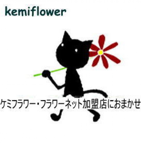 札幌市外 フラワーネット加盟店におまかせ【アレンジ】おまかせアレンジ