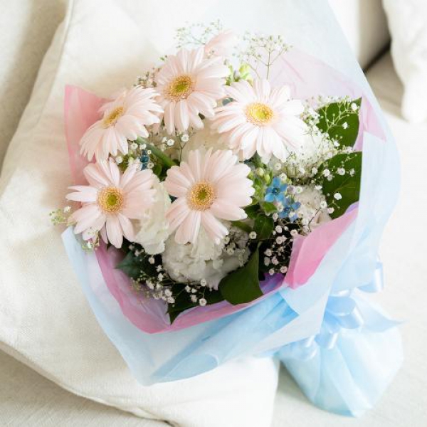 フェアリーブリーズ